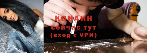 PSILOCYBIN Покачи
