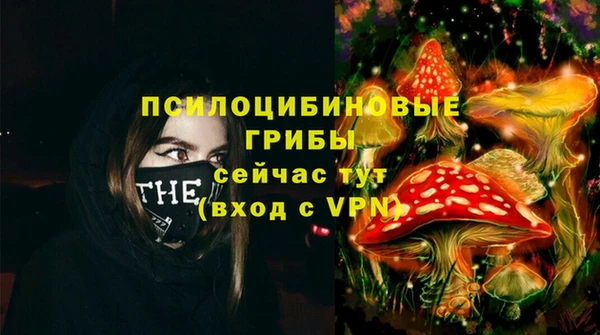 МДМА Арсеньев