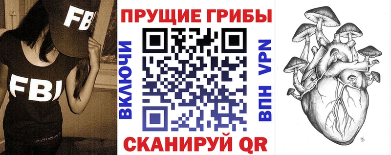 Псилоцибиновые грибы GOLDEN TEACHER купить закладку Когалым